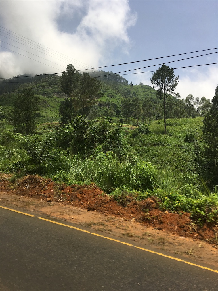 f:id:la-cle-du-soleil:20190226082906j:image f:id:la-cle-du-soleil:20190226082906j:image