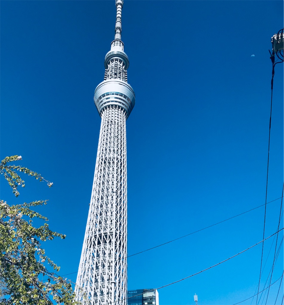 f:id:la-maison-ave:20190508003416j:image