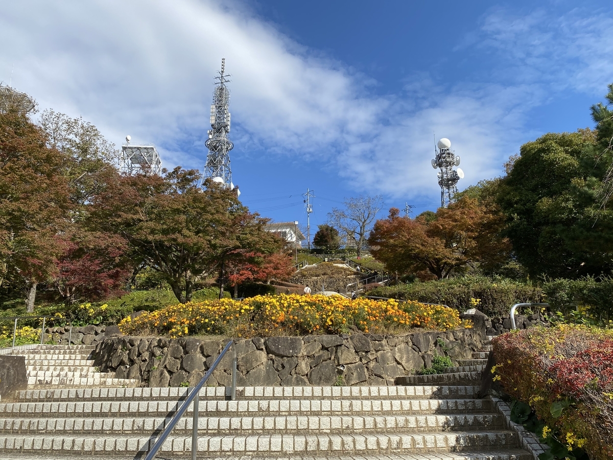 f:id:lab-coat-investor-rider:20211121155601j:plain