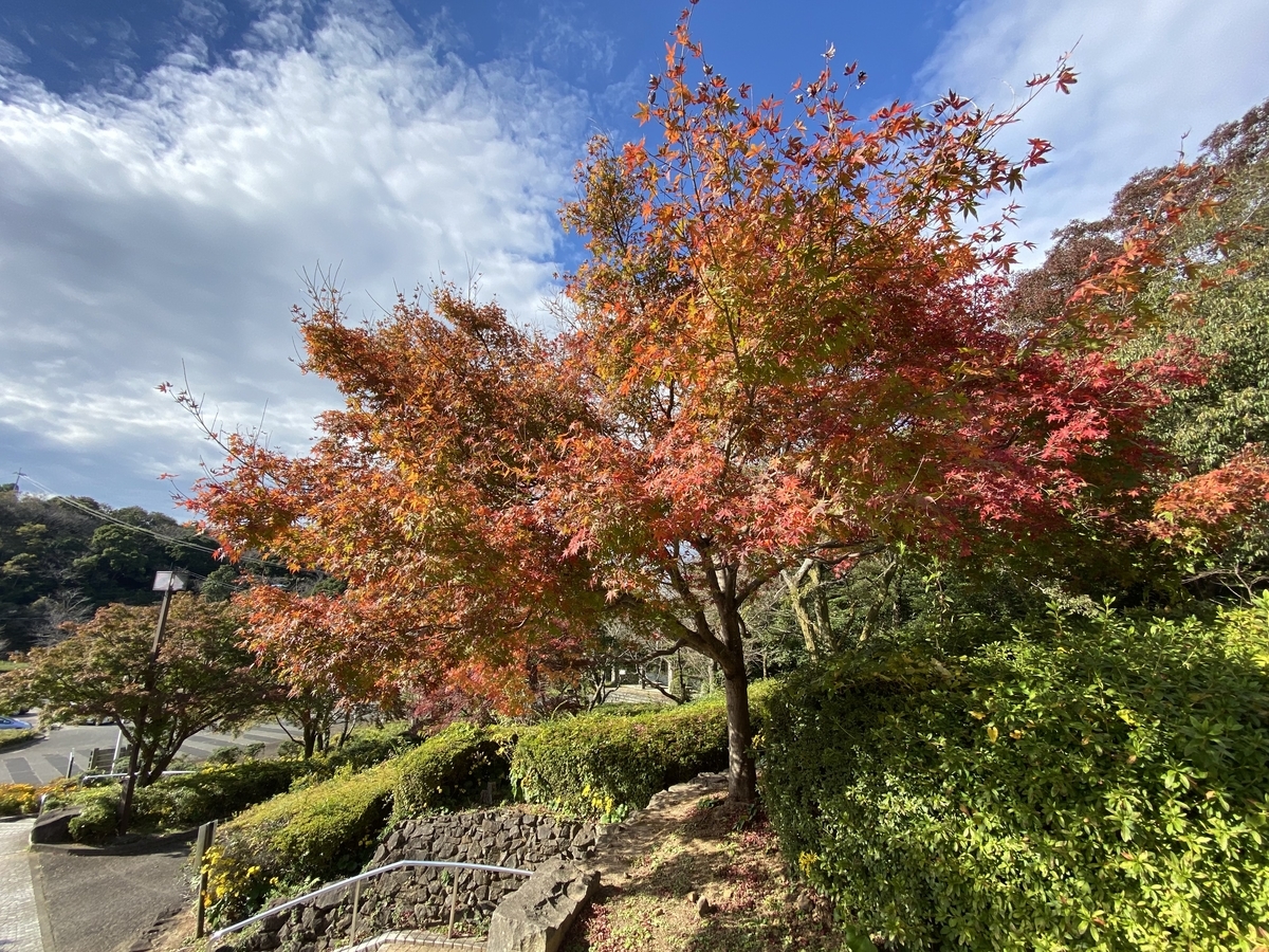 f:id:lab-coat-investor-rider:20211121160238j:plain