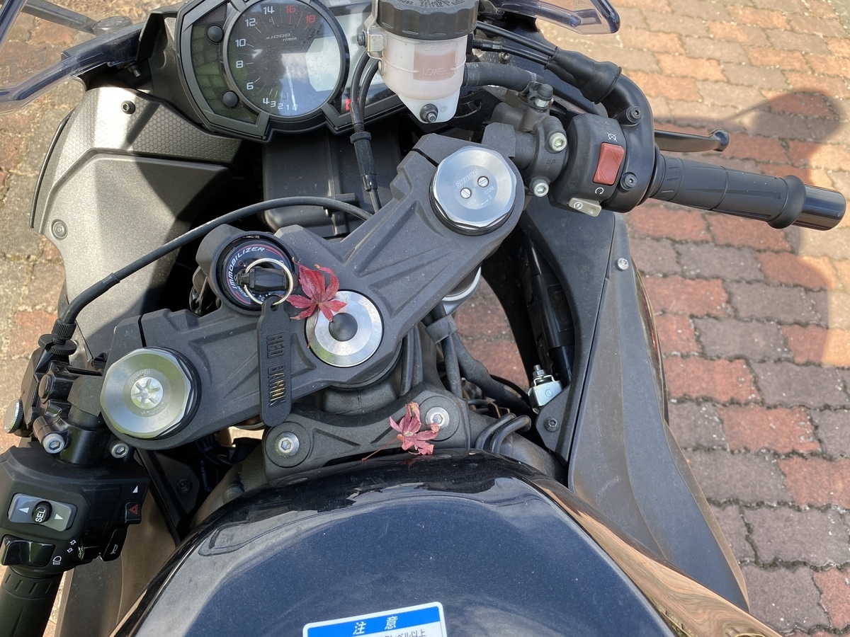 f:id:lab-coat-investor-rider:20211121160401j:plain