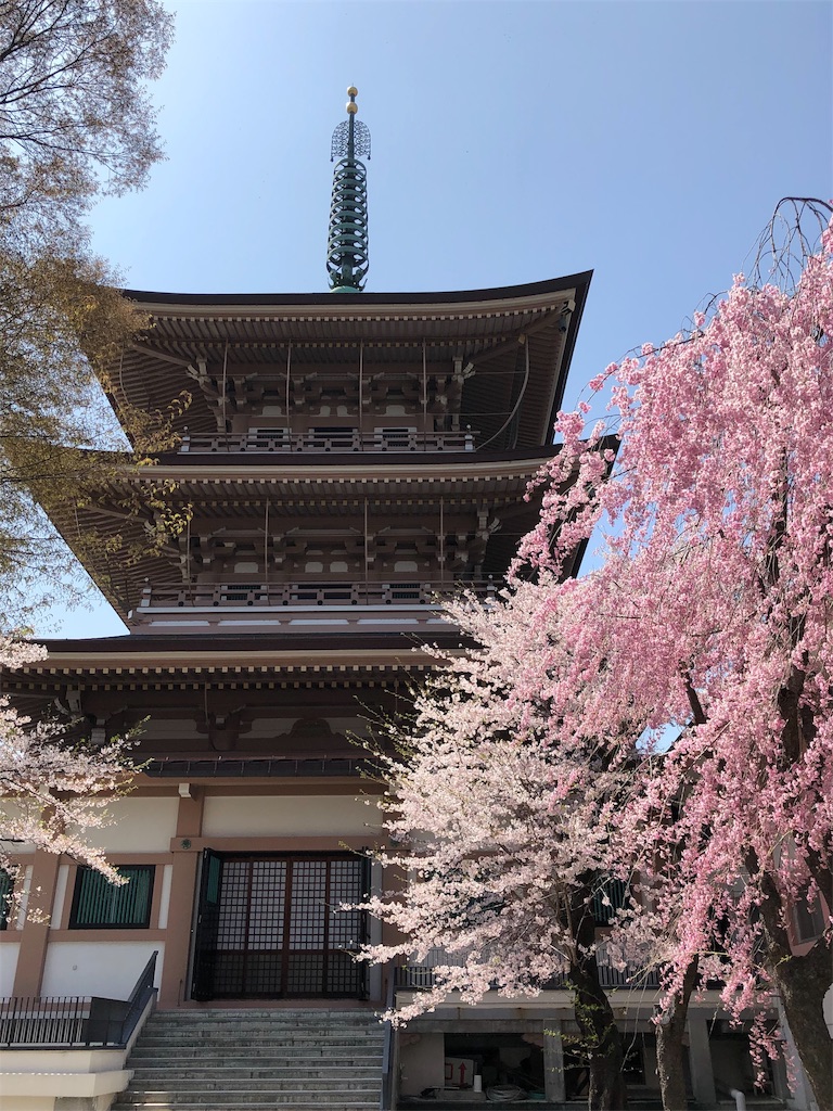 f:id:lab2019papa:20190514111011j:image