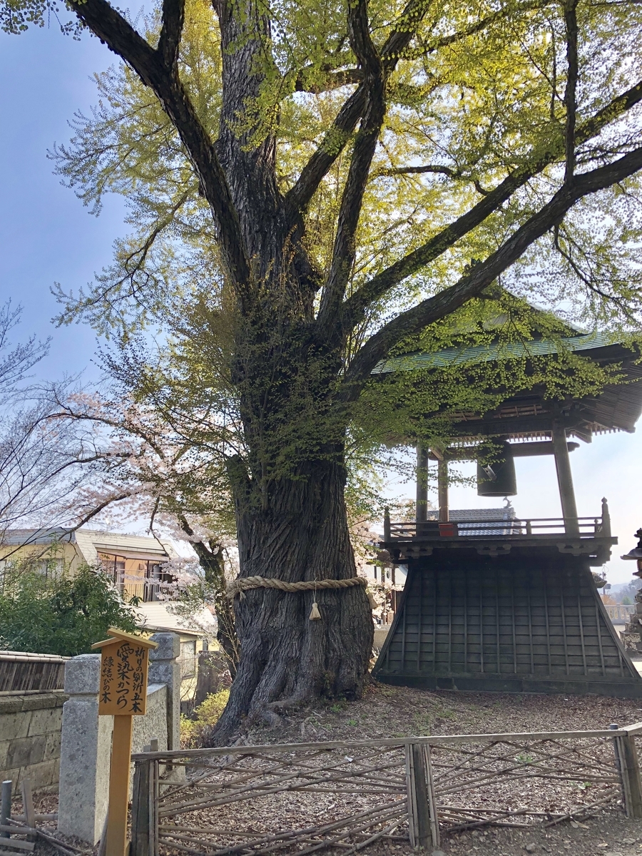 f:id:lab2019papa:20190525141611j:plain