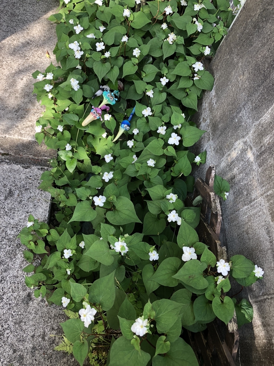f:id:lab2019papa:20190605070556j:plain