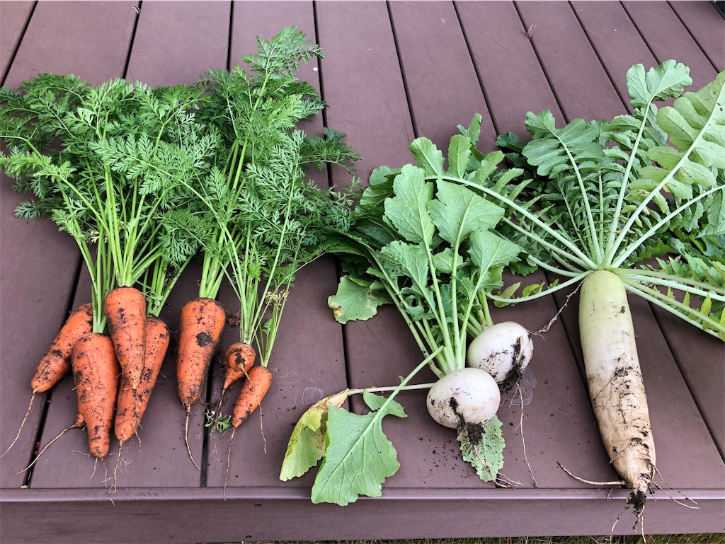 f:id:labo831:20181208145426j:image f:id:labo831:20181208145426j:image