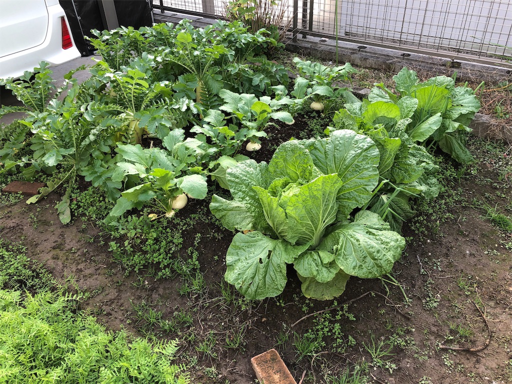 f:id:labo831:20181208145556j:image f:id:labo831:20181208145556j:image