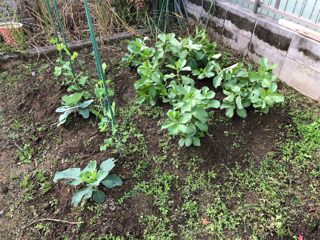 f:id:labo831:20181208145617j:image f:id:labo831:20181208145617j:image