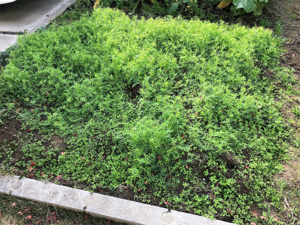 f:id:labo831:20181208145635j:image f:id:labo831:20181208145635j:image