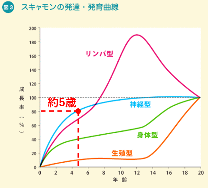 スキャモンの発達・発育曲線