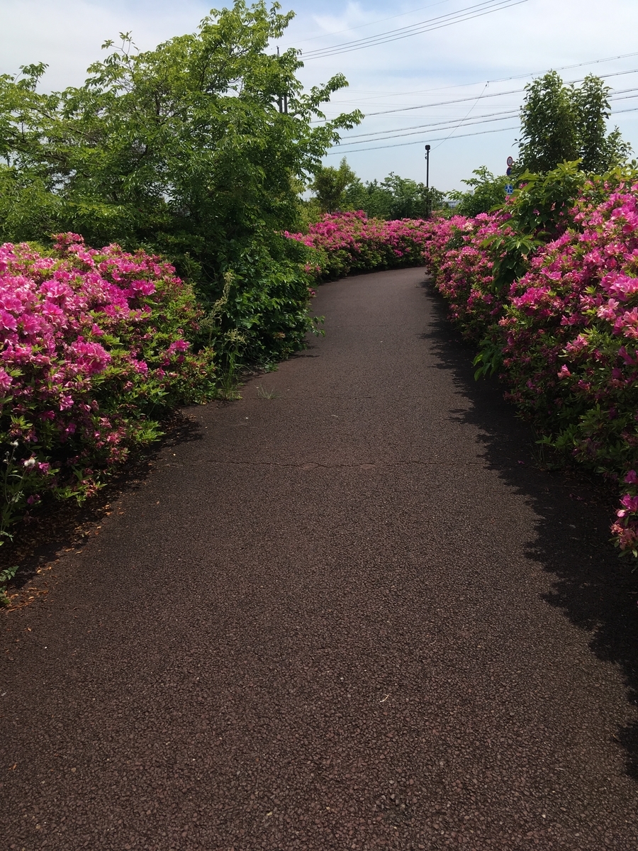 f:id:labuyoshi:20190512195411j:plain