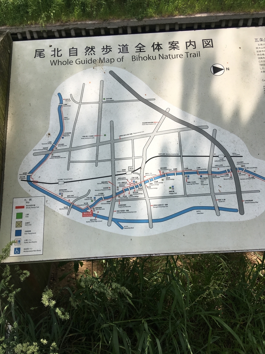 f:id:labuyoshi:20190512195445j:plain