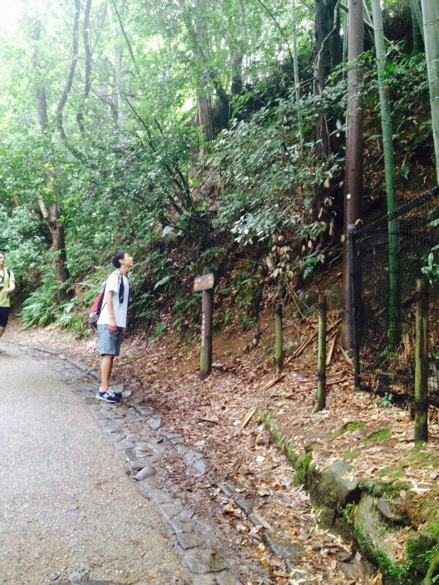 f:id:lachesis6419:20160709004331j:plain f:id:lachesis6419:20160709004331j:plain