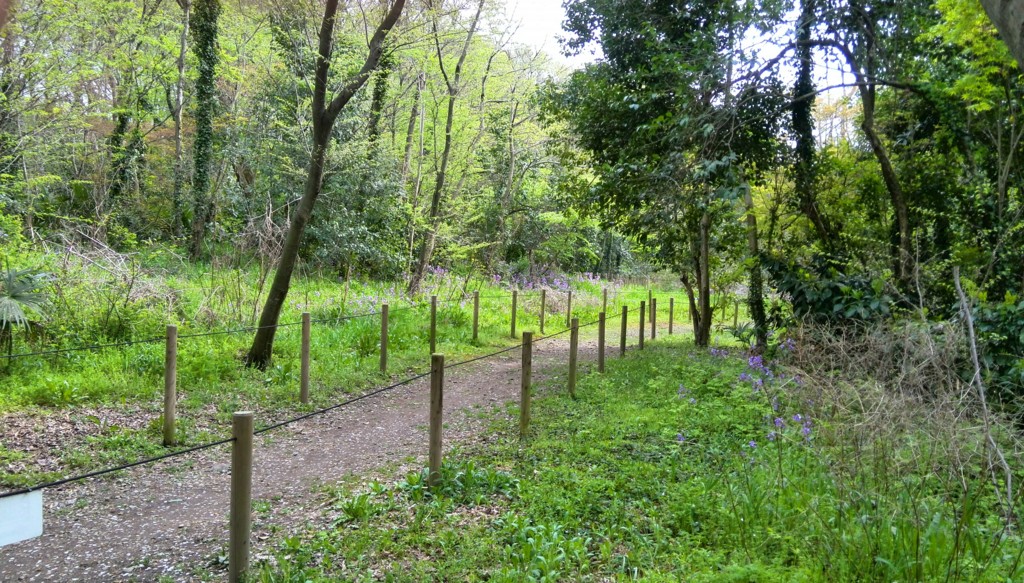 f:id:lacucaracha:20150412143416j:plain f:id:lacucaracha:20150412143416j:plain