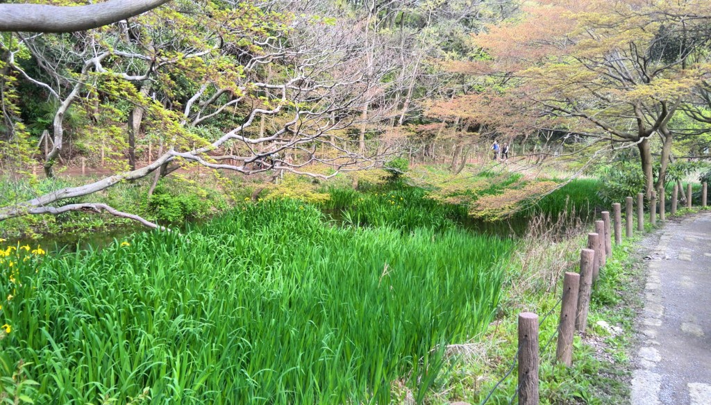 f:id:lacucaracha:20150412150409j:plain f:id:lacucaracha:20150412150409j:plain