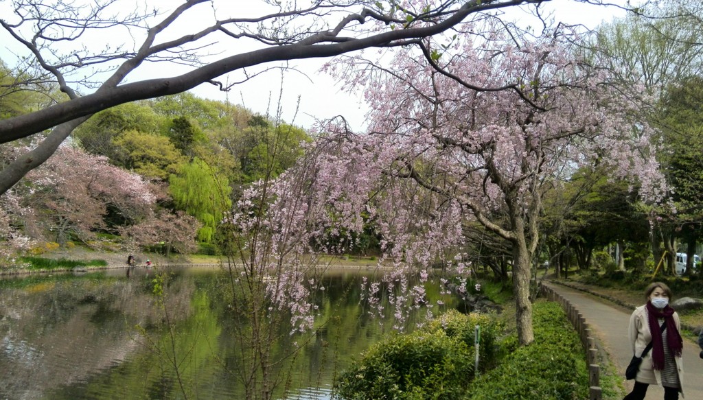 f:id:lacucaracha:20150412150616j:plain f:id:lacucaracha:20150412150616j:plain