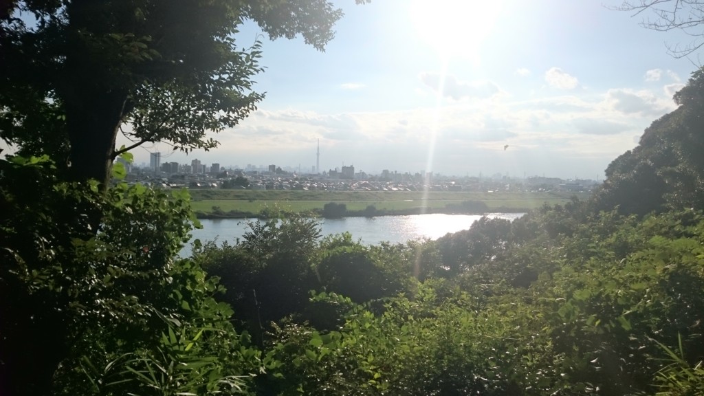 f:id:lacucaracha:20150920160339j:plain f:id:lacucaracha:20150920160339j:plain