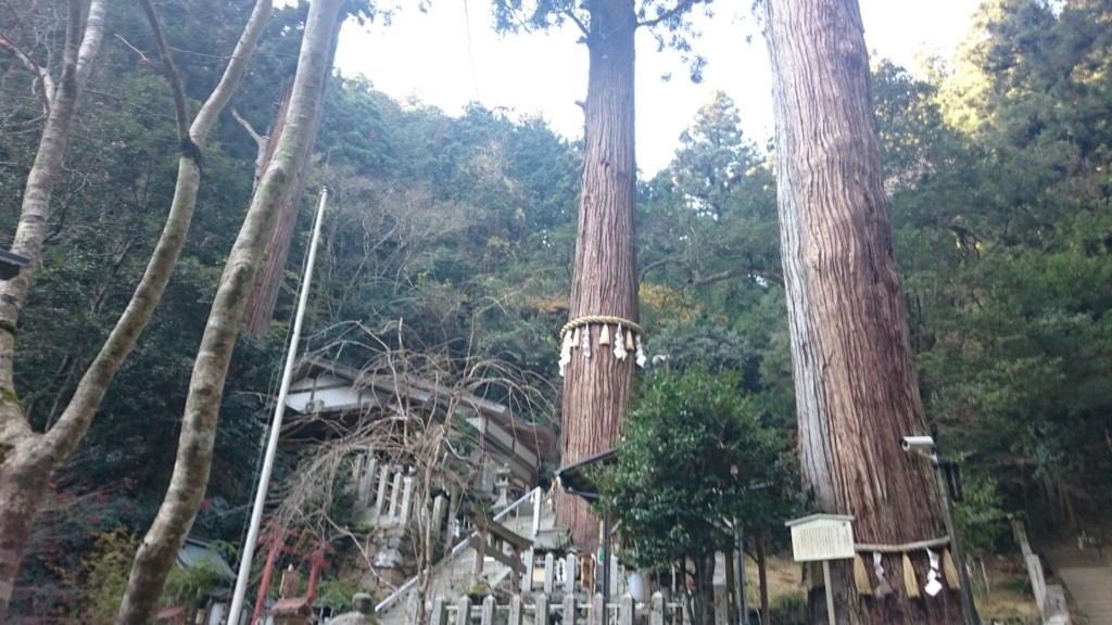 f:id:lacucaracha:20151130140036j:plain