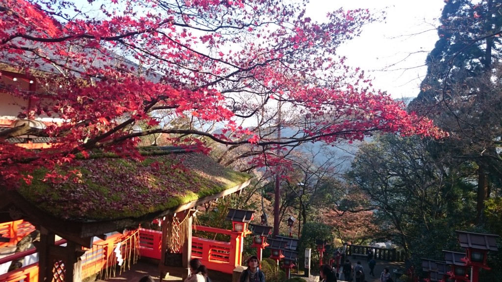 f:id:lacucaracha:20151130142832j:plain