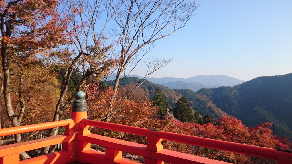 f:id:lacucaracha:20151130143015j:plain