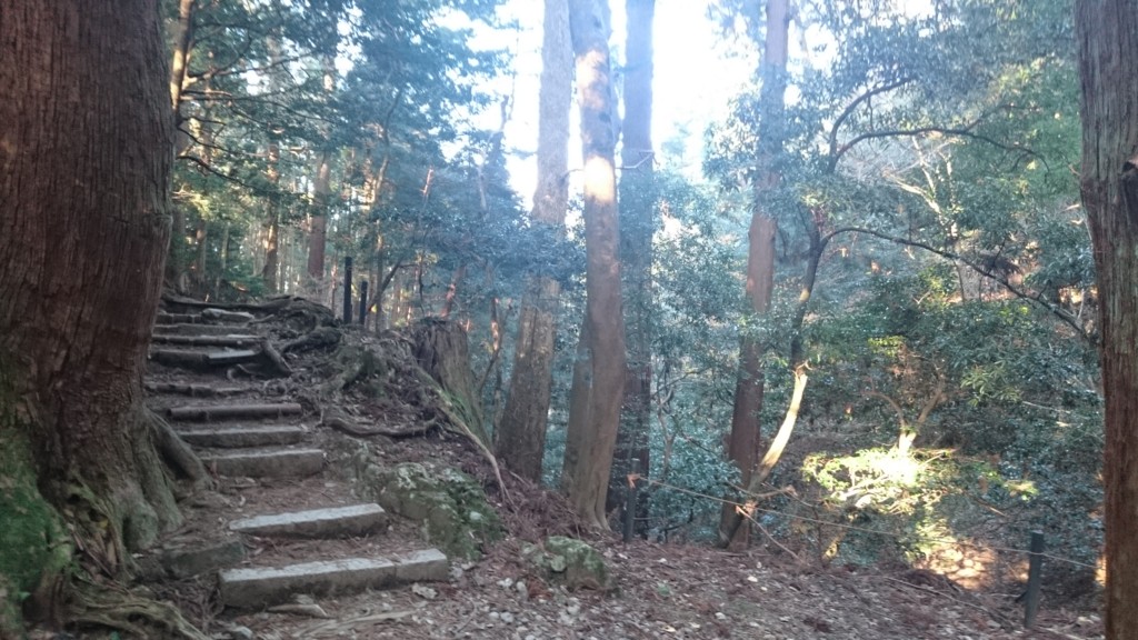 f:id:lacucaracha:20151130145721j:plain