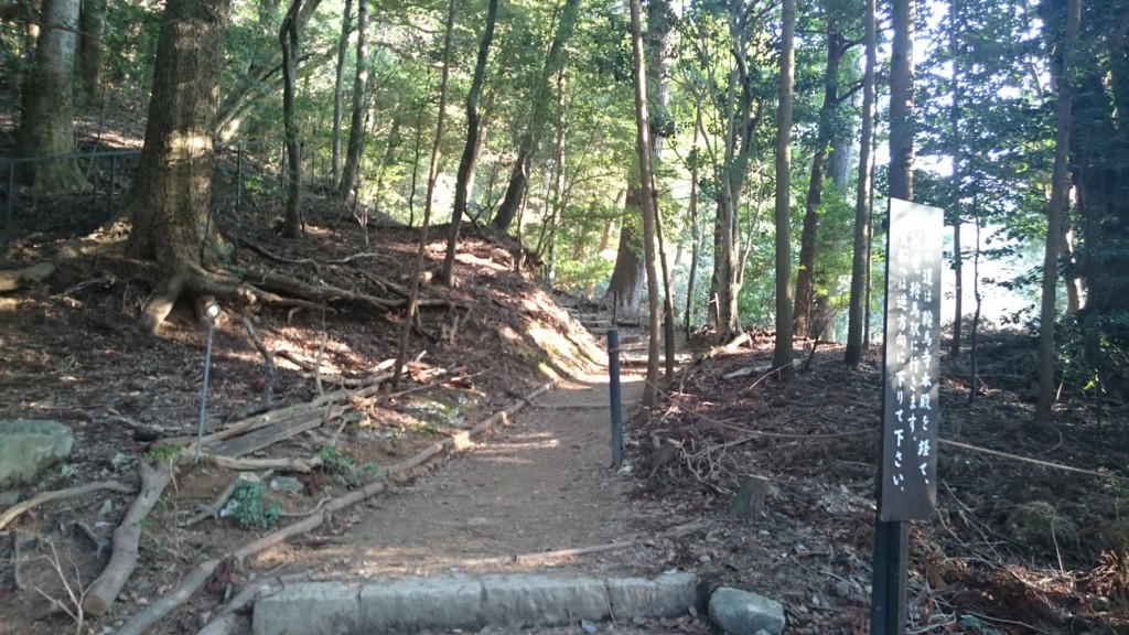 f:id:lacucaracha:20151130150254j:plain