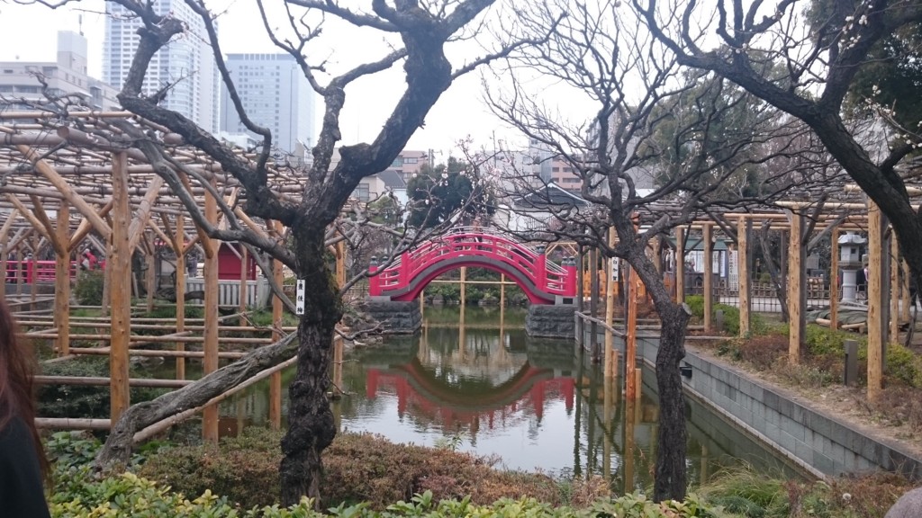 f:id:lacucaracha:20160306134558j:plain f:id:lacucaracha:20160306134558j:plain