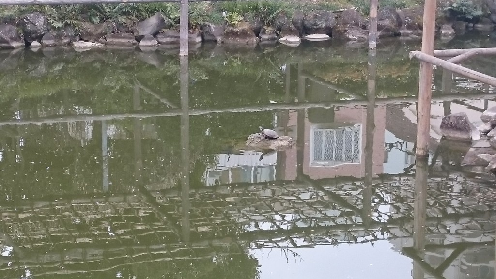 f:id:lacucaracha:20160306135010j:plain f:id:lacucaracha:20160306135010j:plain