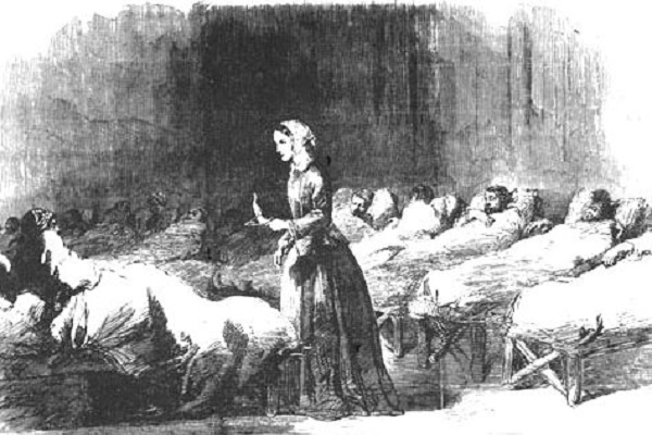 f:id:lady-jhones:20151205162326j:plain