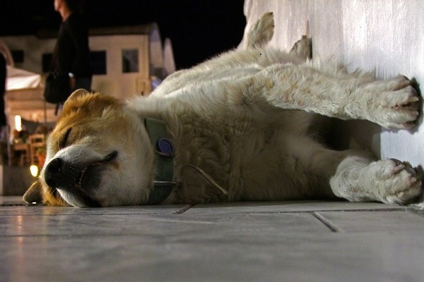 f:id:lady-jhones:20160129161222j:plain