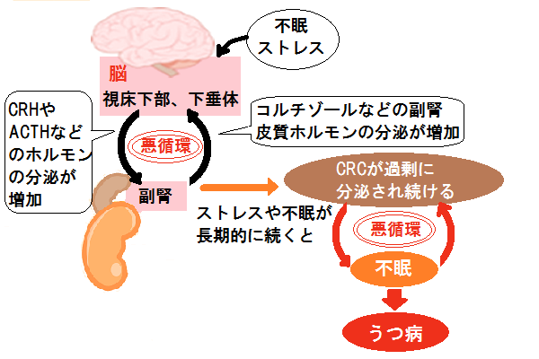 f:id:lady-jhones:20160212222421p:plain f:id:lady-jhones:20160212222421p:plain