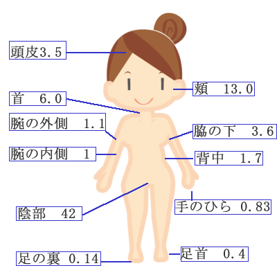 f:id:lady-jhones:20160730161013p:plain