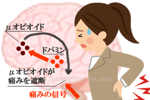 f:id:lady-jhones:20160921232536p:plain