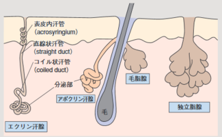 f:id:lady-jhones:20161105102156p:plain f:id:lady-jhones:20161105102156p:plain