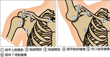 f:id:lady-jhones:20161117235833j:plain f:id:lady-jhones:20161117235833j:plain