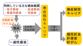 B
型肝炎の自然経過