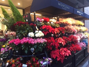 flower_shop2 flower_shop2