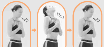 train_chest_muscle train_chest_muscle