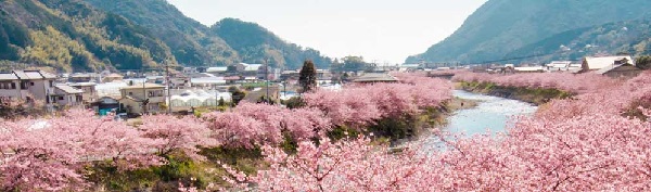 f:id:lady-jhones:20180313210147j:plain