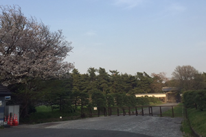 メトロ半蔵門駅から半蔵門交差点を渡ったところからの半蔵門