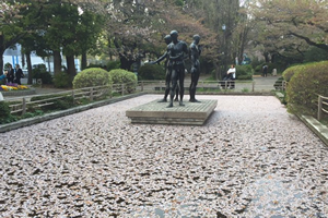 半蔵門左側の公園内の池。桜の花びらで覆われていました。