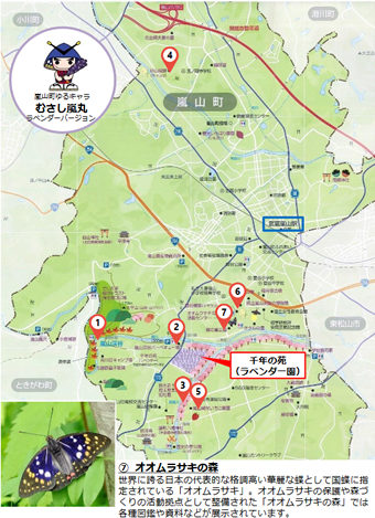 嵐山町観光MAP千年の苑ラベンダー園