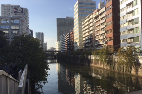 五反田クラフトビールデビュー失敗したので美味しいパンと話題の「あの」場所をレビュー