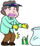 高齢者の膝痛にテービングで予防と痛みの緩和