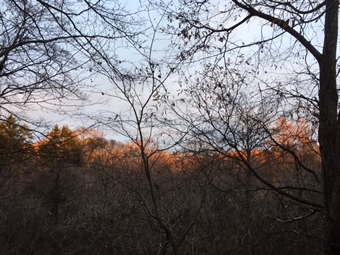 リビングから遠くの夕日を浴びた山々