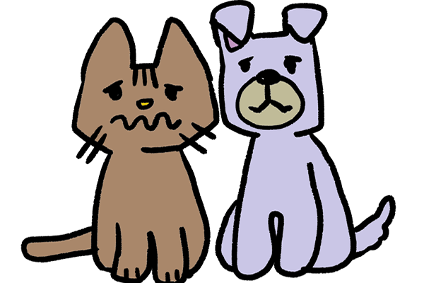 保護犬、保護猫もっと知ってほしい譲渡のこと～新しい家族との出会いを