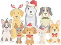 保護犬、保護猫の譲渡であなたにも救える命があります