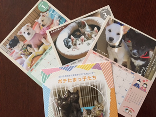 動物愛護団体を応援するカレンダー募金