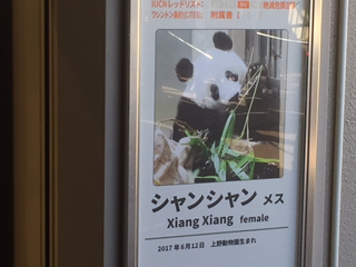 起きていればこんな姿がみられたのになあ
