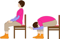 背中から腰のストレッチ