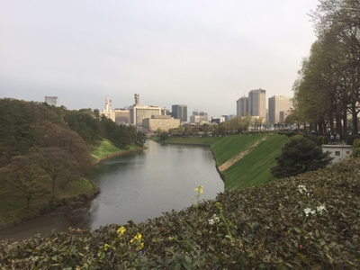 国会議事堂（もう少し右側にあります）方面